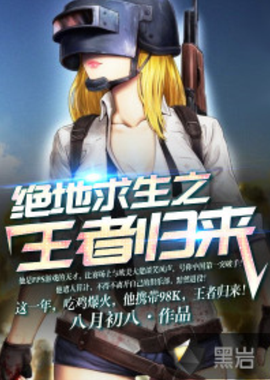 的项目安排 的项目安排